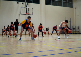 All Sports Camps